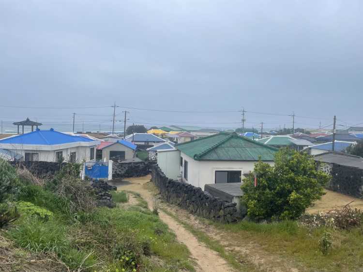 Hiking the Jeju Olle&nbsp;Trail