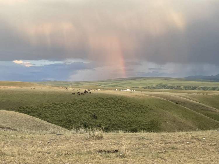 Top places and experiences in Central&nbsp;Asia