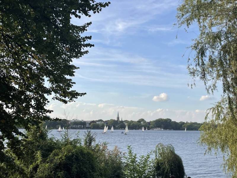 In Hamburg they eat fish&nbsp;rolls