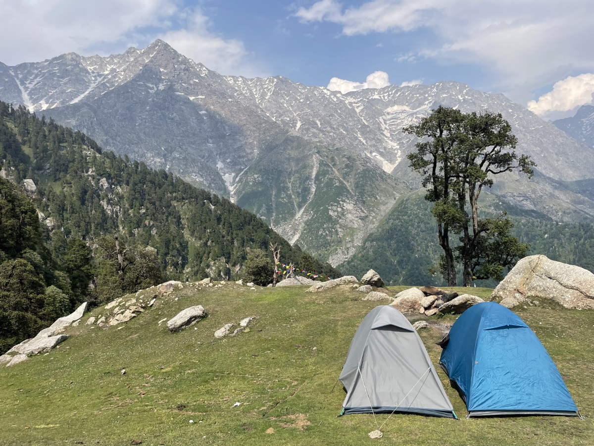 Among vultures, crows, and ravens in the&nbsp;Himalayas