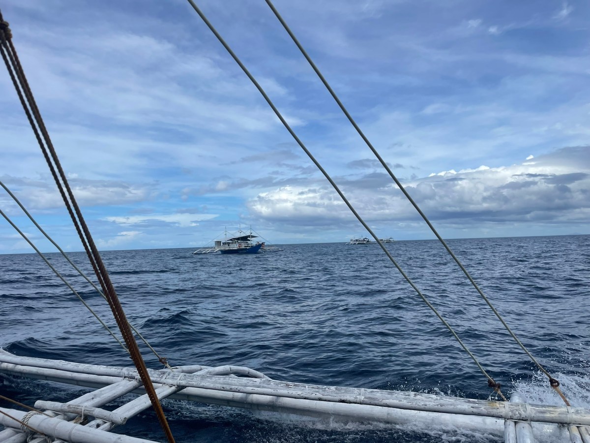 Diving with Thresher Sharks in&nbsp;Malapascua