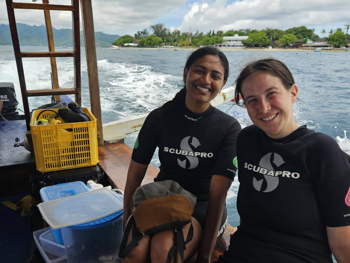 Looking for Manta Rays & Mola Mola around Nusa&nbsp;Penida