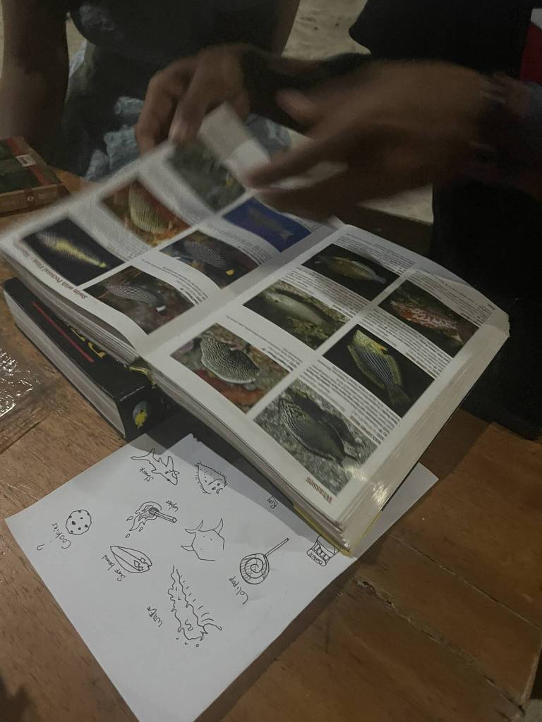 A story about the ups and downs of scuba diving. From watching fish to feeding the fish.