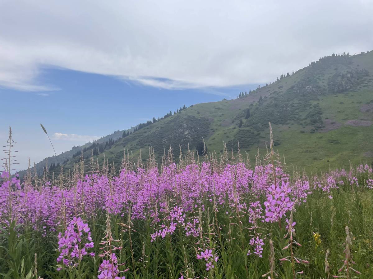 A taste of&nbsp;Almaty