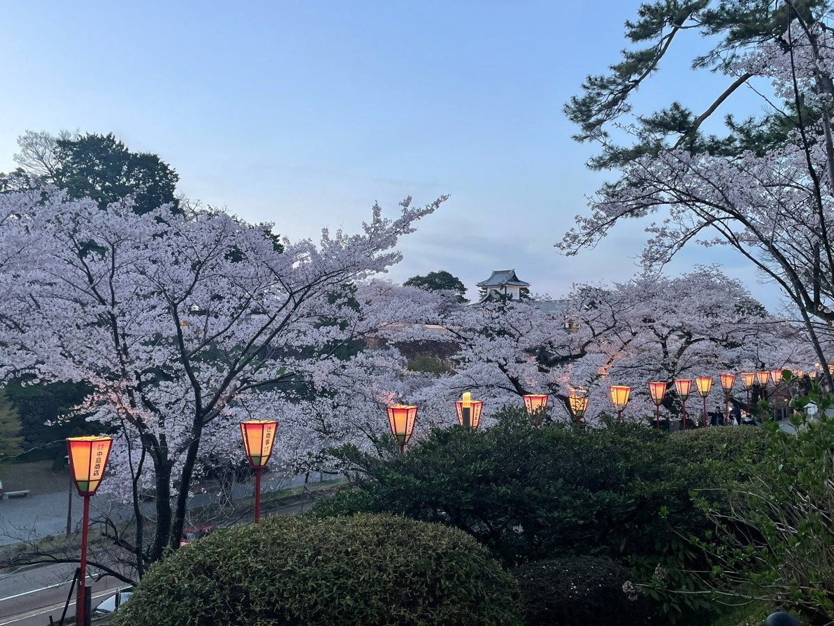 Why I left Japan and gave up my working&nbsp;visa