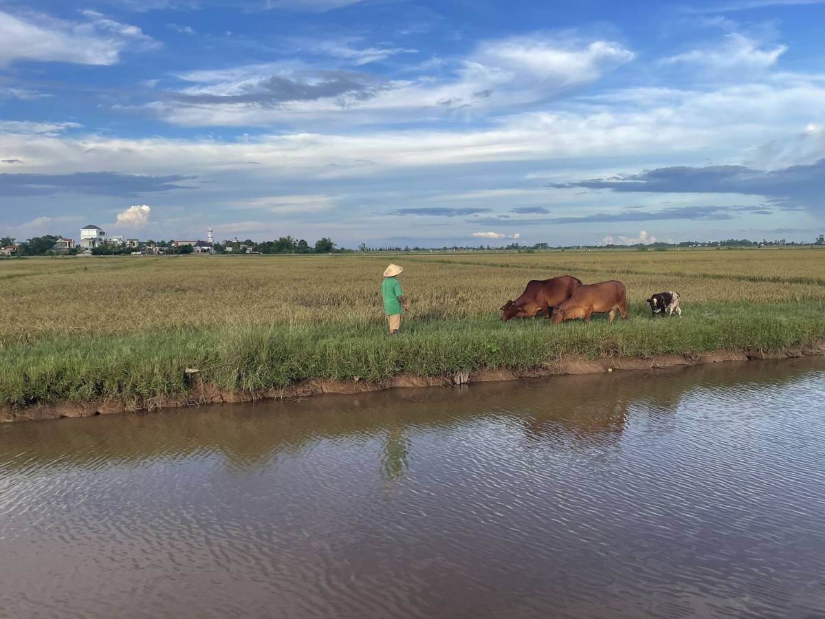Couch surfing in Ninh&nbsp;Binh