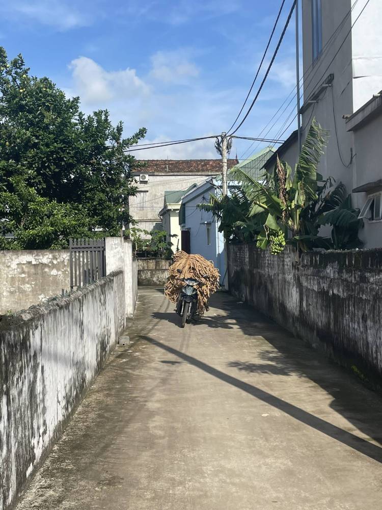 motorbike delivery vietnam