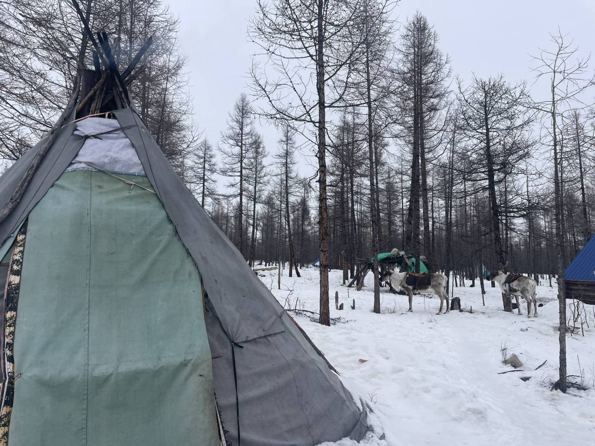 Visiting the Tsaatan Reindeer Herders of Mongolia’s&nbsp;Taiga